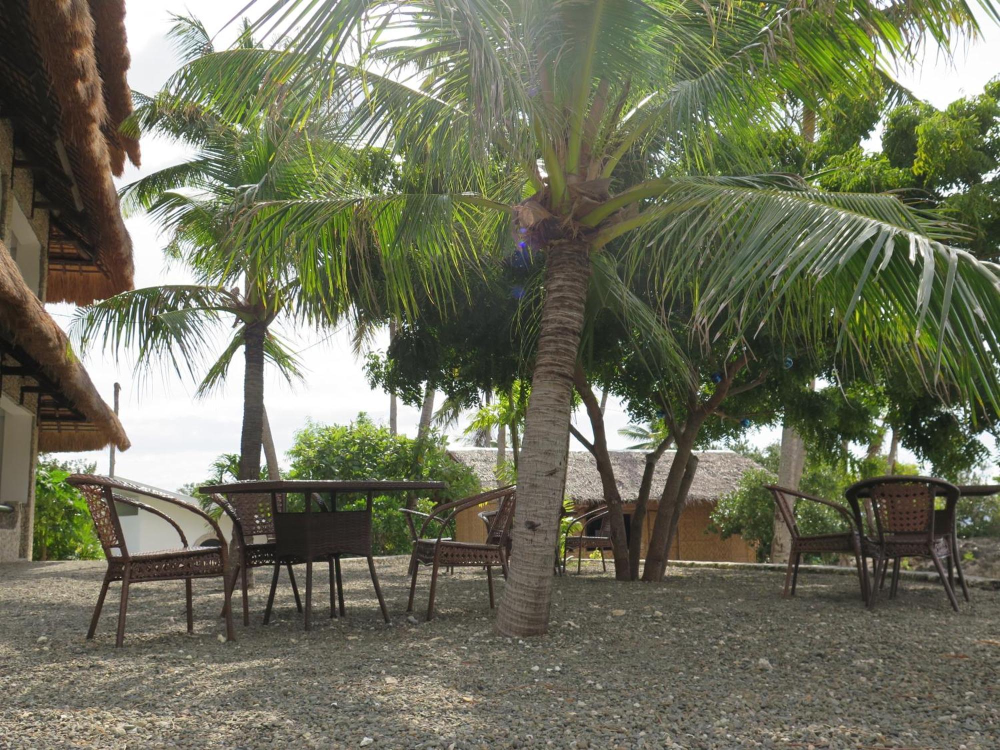 The Wild Orchid Resort - Moalboal Exterior foto