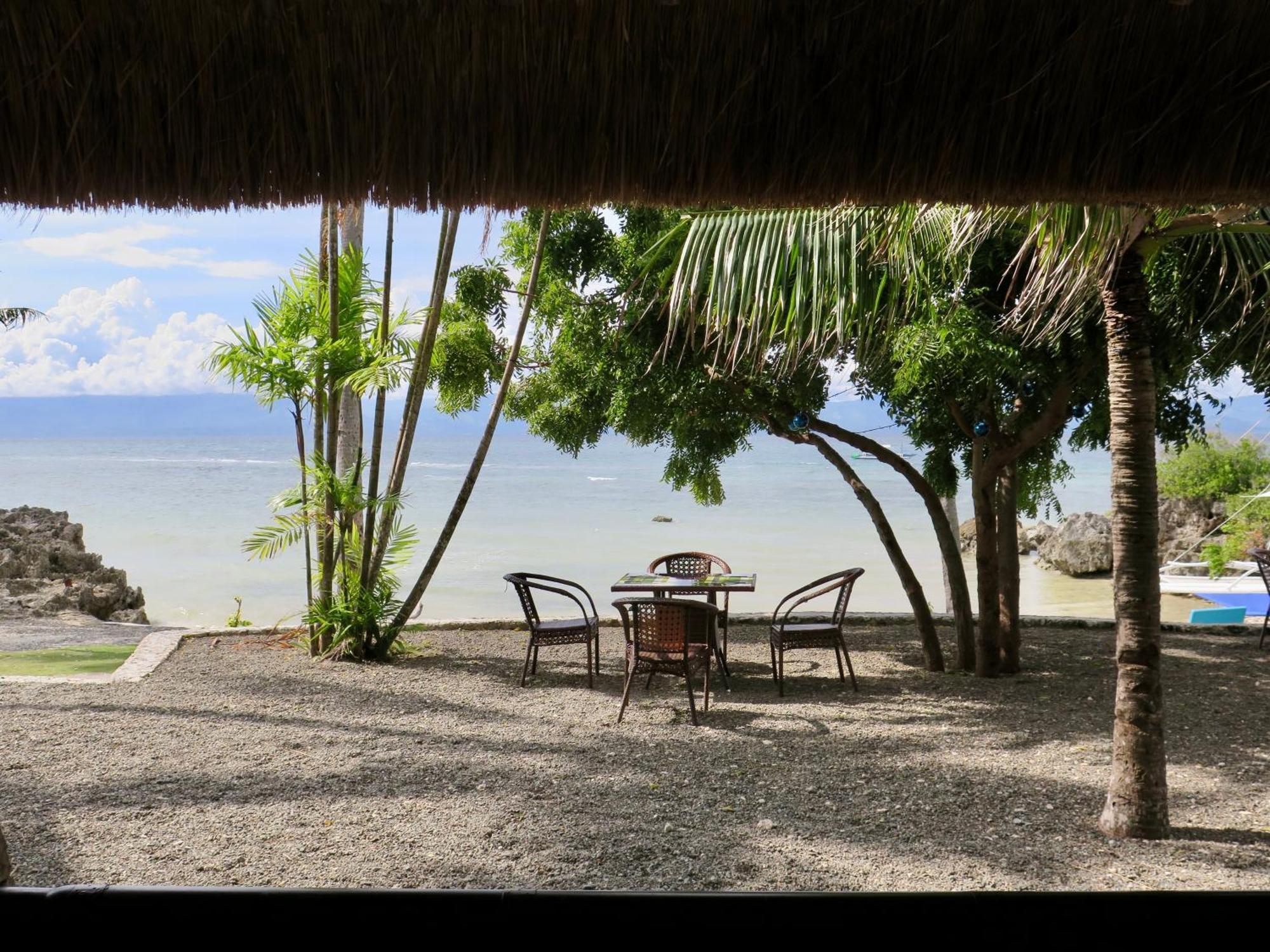 The Wild Orchid Resort - Moalboal Exterior foto