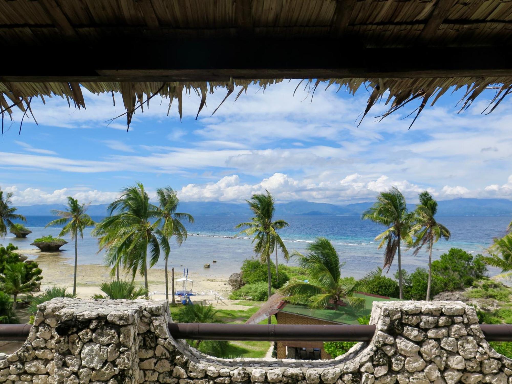 The Wild Orchid Resort - Moalboal Exterior foto